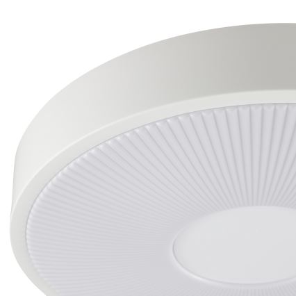 Brilliant - Plafoniera LED RAKIN LED/18W/230V Ø 33,5 cm bianca