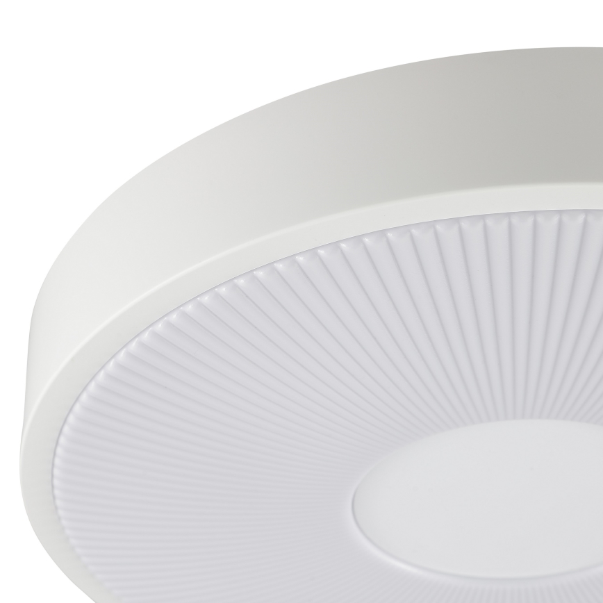 Brilliant - Plafoniera LED RAKIN LED/18W/230V Ø 33,5 cm bianca
