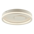 Brilliant - Plafoniera LED REVOLA LED/33W/230V 3000/4000/6500K Ø 40 cm beige