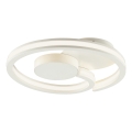Brilliant - Plafoniera LED REVOLA LED/33W/230V 3000/4000/6500K Ø 40 cm bianco