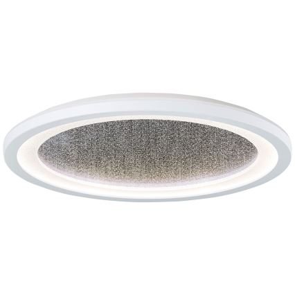 Brilliant - Plafoniera dimmerabile RGBW TANIDA LED/22W/230V 3000-6500K+ telecomando
