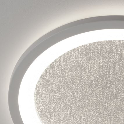 Brilliant - Plafoniera dimmerabile RGBW TANIDA LED/22W/230V 3000-6500K+ telecomando