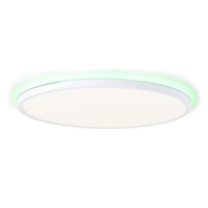Brilliant - Plafoniera LED RGBW dimmerabile SALTERY LED/22W/230V 3000-6500K diametro 42 cm + telecomando