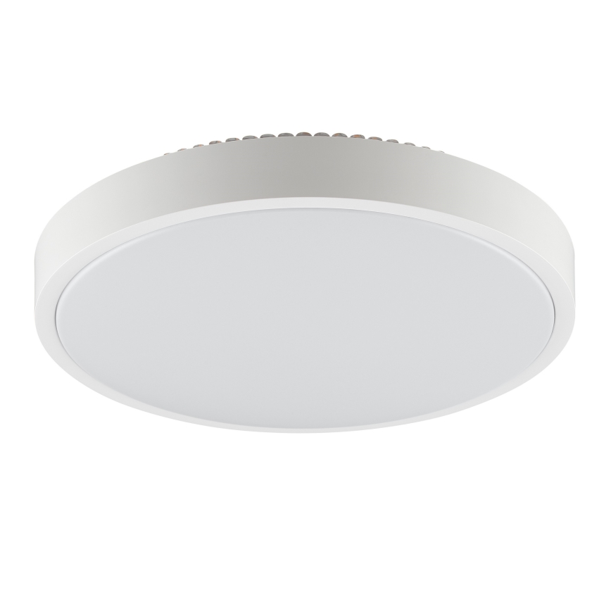 Brilliant - plafoniera LED SOLISTRA LED/24W/230V Ø 44,5 cm bianca