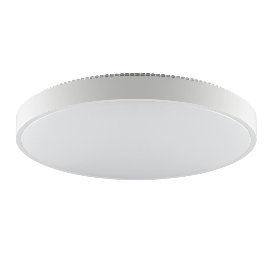 Brilliant - Plafoniera LED SOLISTRA LED/36W/230V Ø 54 cm bianca