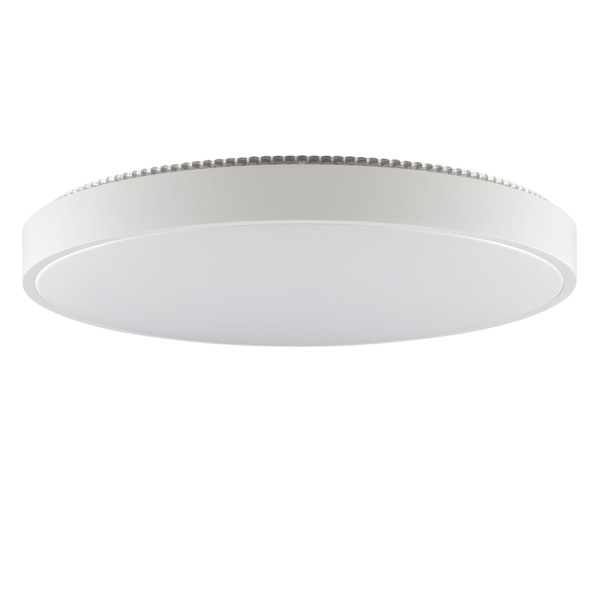 Brilliant - Plafoniera LED SOLISTRA LED/36W/230V Ø 54 cm bianca