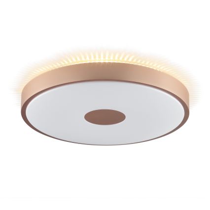 Brilliant - Plafoniera LED TAVIS LED/24W/230V, diam. 44,5 cm, oro rosa