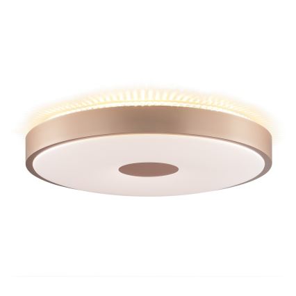 Brilliant - Plafoniera LED TAVIS LED/24W/230V, diam. 44,5 cm, oro rosa