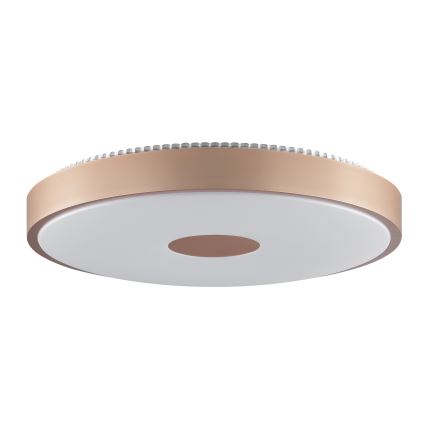 Brilliant - Plafoniera LED TAVIS LED/24W/230V, diam. 44,5 cm, oro rosa