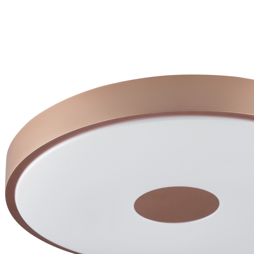 Brilliant - Plafoniera LED TAVIS LED/24W/230V, diam. 44,5 cm, oro rosa