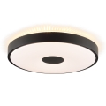 Brilliant - Plafoniera LED TAVIS LED/24W/230V Ø 44,5 cm nero