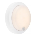 Brilo - Lampada da parete ricaricabile LED per esterni con sensore LED/4W/5V 4400 mAh IP44 bianco