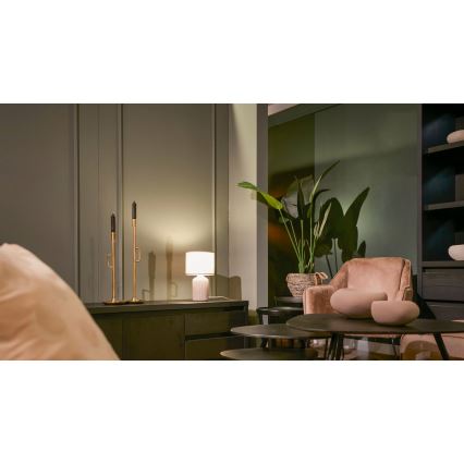 Brilo - Lampada da tavolo INO 1xE14/10W/230V marrone