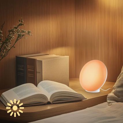 Brilo - LED RGBIC Lampada da tavolo dimmerabile TARA LED/6W/230V 3000-6500K bianco + telecomando