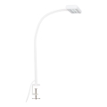 Brilo - LED Flessibile lampada da tavolo con clip TRASNA LED/7,5W/230V bianco