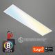Brilo - Plafoniera LED dimmerabile PIATTO LED/28W/230V 3000-6500K Wi-Fi Tuya + telecomando