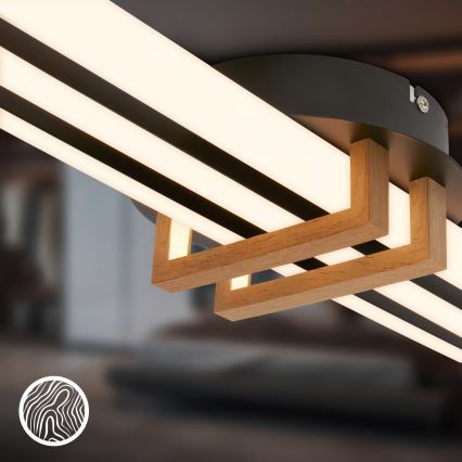 Brilo - Plafoniera LED TINKA, 30W, 230V, 3000K, nera