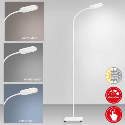 Briloner 1297-016 - LED Dimmerabile touch lampada con piedistallo LED/8W/230V 3000/4000/6000K