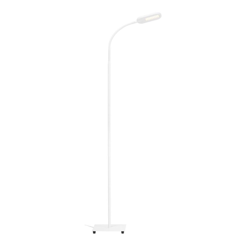 Briloner 1297-016 - LED Dimmerabile touch lampada con piedistallo LED/8W/230V 3000/4000/6000K