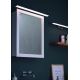 Briloner 2060-018 - Illuminazione LED per specchio da bagno SPLASH LED/10W/230V IP23