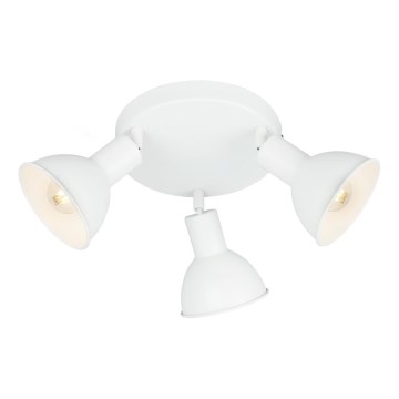 Briloner 2674-036 - Faretto RETRO 3xE14/25W/230V bianco