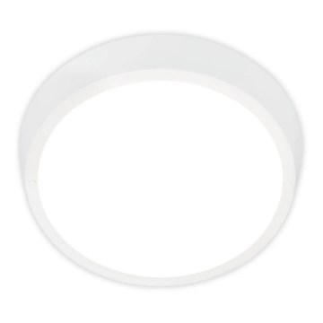 Briloner 3018-016 - Plafoniera LED da esterno HAGEN LED/24W/230V 4000K IP44 bianco