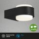 Briloner 3035-015 - Applique LED per esterno HANAU LED/6,5W/230V IP44 nero