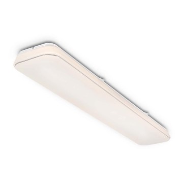 Briloner 3042-016 - Plafoniera LED dimmerabile RUPA LED/48W/230V