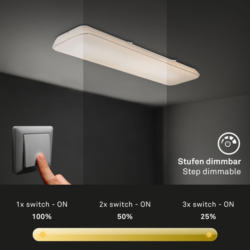 Briloner 3042-016 - Plafoniera LED dimmerabile RUPA LED/48W/230V