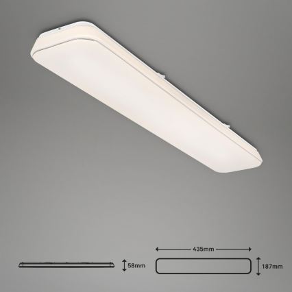 Briloner 3042-016 - Plafoniera LED dimmerabile RUPA LED/48W/230V
