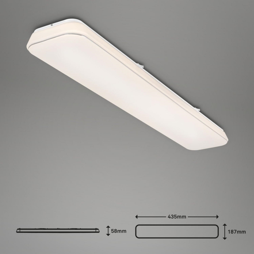 Briloner 3042-016 - Plafoniera LED dimmerabile RUPA LED/48W/230V