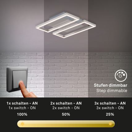 Briloner 3107-012 - Plafoniera LED dimmerabile FRAME 2xLED/7,25W/230V