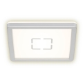 Briloner 3174-014 - Plafoniera LED FREE LED/12W/230V 19x19 cm