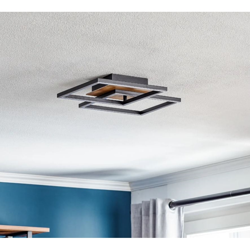 Briloner 3210-014 - Plafoniera LED dimmerabile FRAME 2xLED/11W/230V marrone