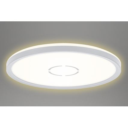 Briloner 3391-014 - Plafoniera LED FREE LED/18W/230V d. 29 cm