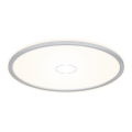 Briloner 3392-014 - Plafoniera LED FREE LED/22W/230V d. 42 cm