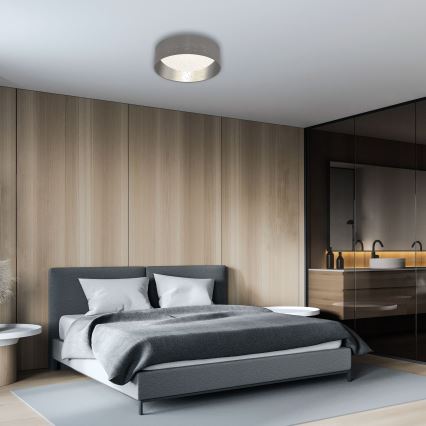 Briloner 3482014 - Lampada da soffitto LED MAILA STARRY LED/12W/230V grigio/argento