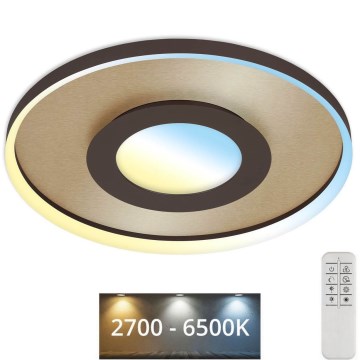 Briloner 3640017 - Lampada da soffitto dimmerabile a LED FRAME LED/25W/230V 2700-6500K con telecomando