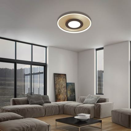 Briloner 3640017 - Lampada da soffitto dimmerabile a LED FRAME LED/25W/230V 2700-6500K con telecomando