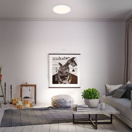 Briloner 3704-016 - Plafoniera LED dimmerabile RUNA LED/22W/230V 2700-6500K bianco + telecomando