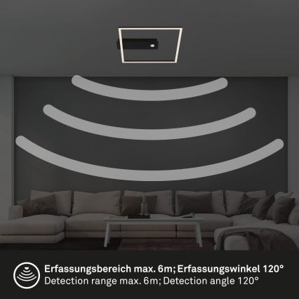 Briloner 3770-015 - Plafoniera LED con sensore di movimento e crepuscolare FRAME LED/14W/230V 3000K 30x32 cm nero