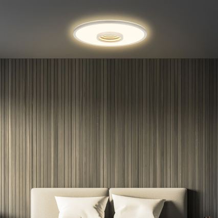 Briloner 3847014 - Plafoniera LED TORO LED/18W/230V Ø 42 cm cromo opaco