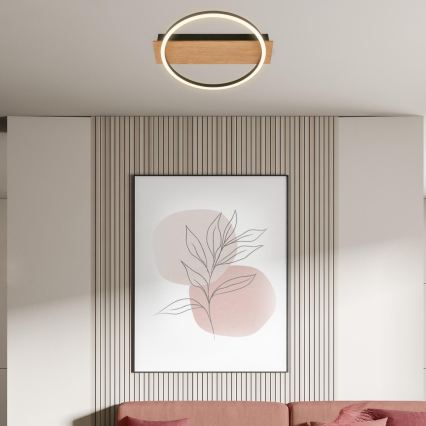 Briloner 3908-014 - Plafoniera LED KADA LED/14W/230V Ø 30 cm nero/marrone