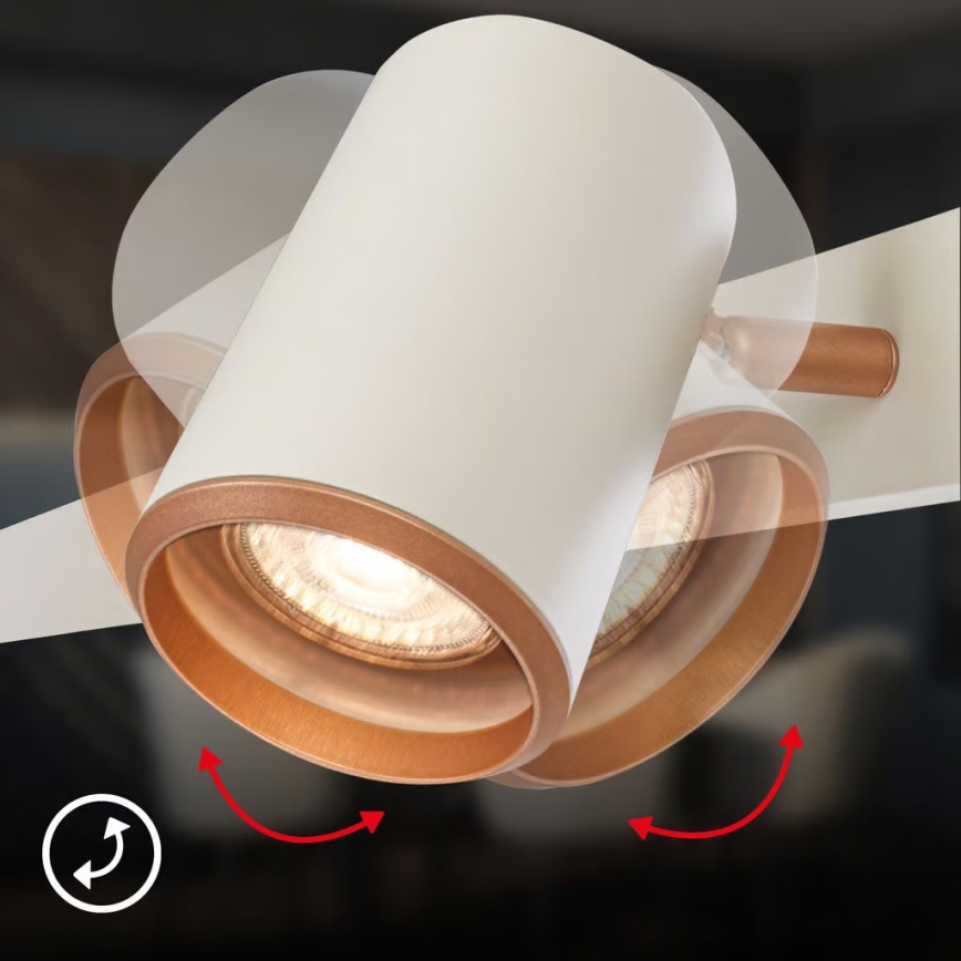 Briloner 4058064 - Lampadario a sospensione su cavo ERA 6xGU10/10W/230V crema