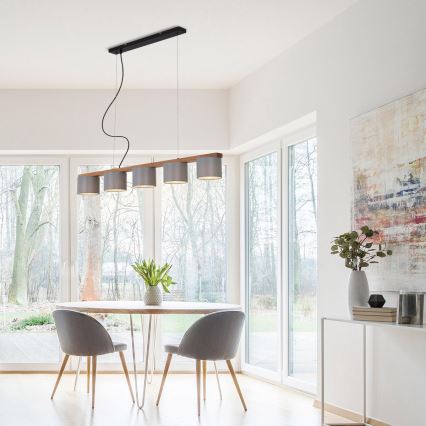 Briloner 4075-054 - Lampadario a sospensione su cavo RHON 5xE14/25W/230V