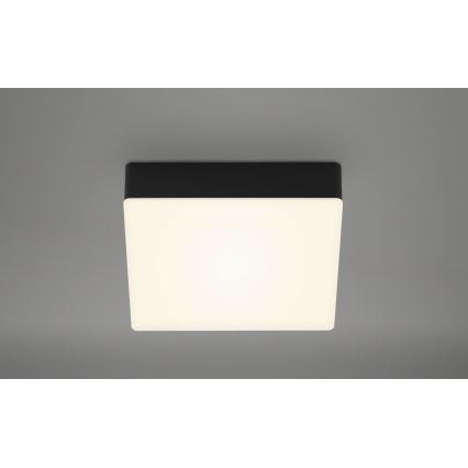 Briloner 7069-015 - Plafoniera LED LED/11W/230V nero