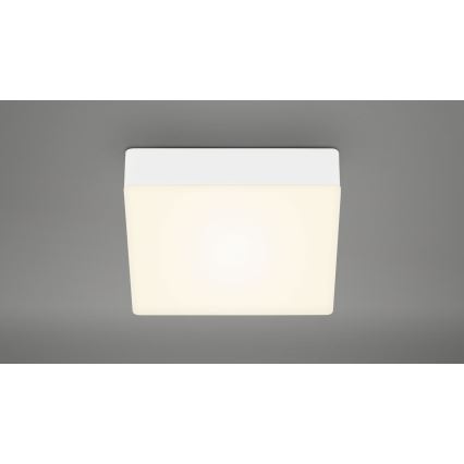 Briloner 7069-016 - Plafoniera LED LED/11W/230V bianco