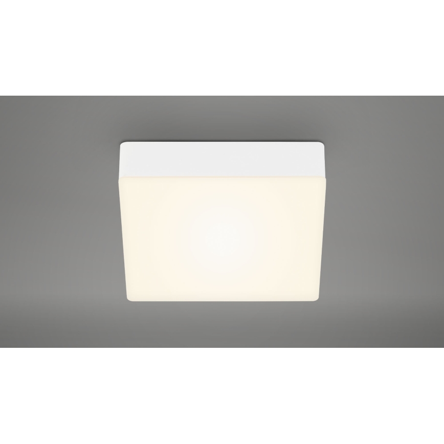 Briloner 7069-016 - Plafoniera LED LED/11W/230V bianco