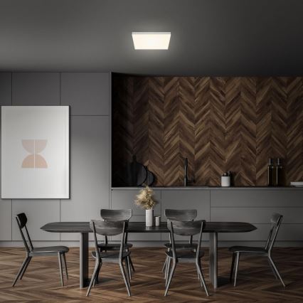 Briloner 7071-014 - Plafoniera LED FLAME LED/21W/230V 3000K 28,7x28,7 cm argento