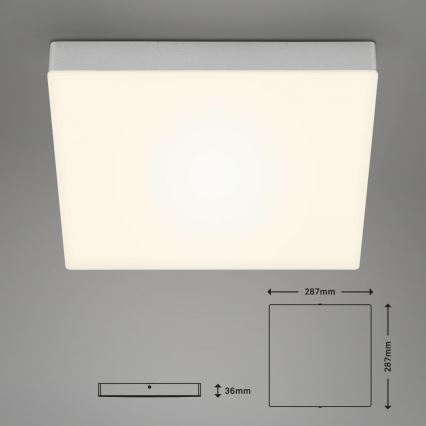Briloner 7071-014 - Plafoniera LED FLAME LED/21W/230V 3000K 28,7x28,7 cm argento